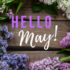 mAY-BLOG